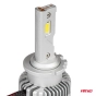 Led lemputės D-Basic Series D2S/D2R AMiO-03627