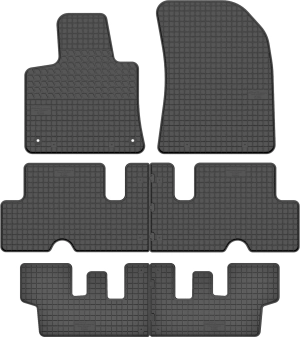 Priekiniai ir galiniai kilimėliai Citroen C4 Picasso II (2013-2018)