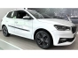 Durų moldingai Skoda Fabia IV (2021→)